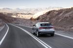 Audi Q8 50 TDI Quattro 2018 года (WW)